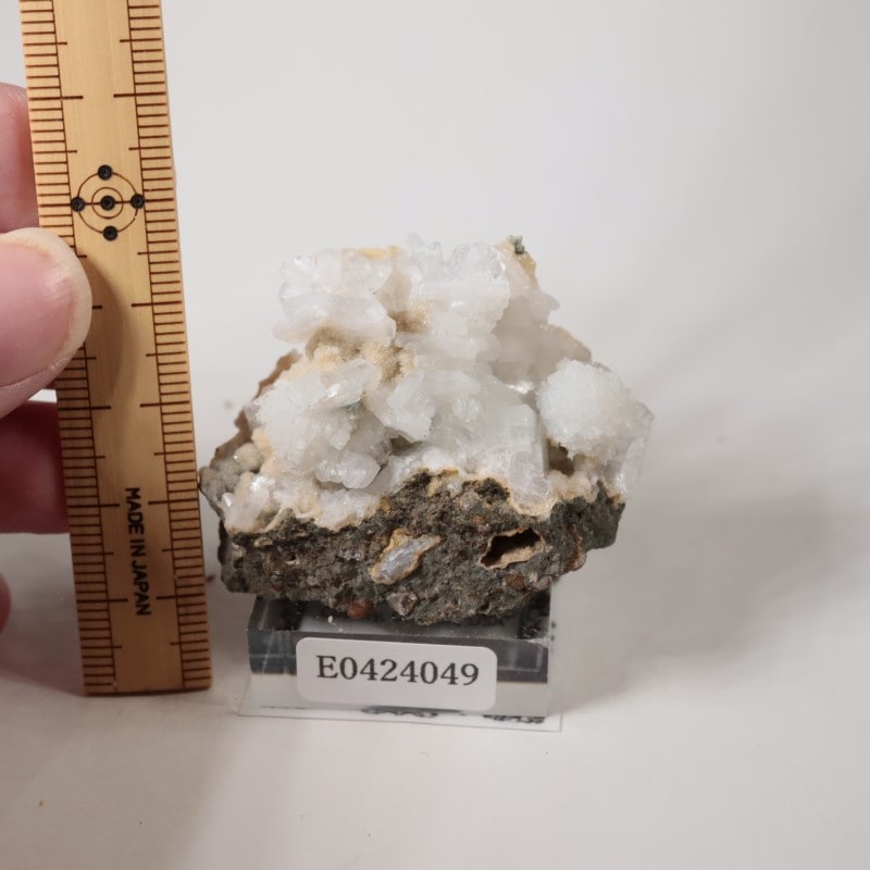 ���쥴�󽣡��ȥॽ��ʨ�С����ƥ���Х���