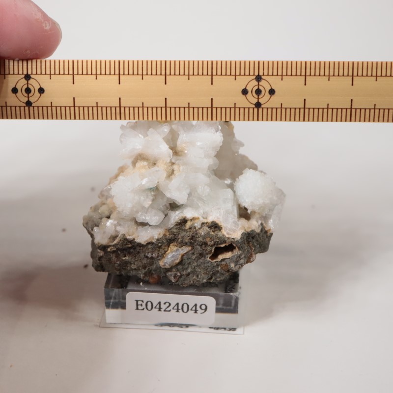 ���쥴�󽣡��ȥॽ��ʨ�С����ƥ���Х���