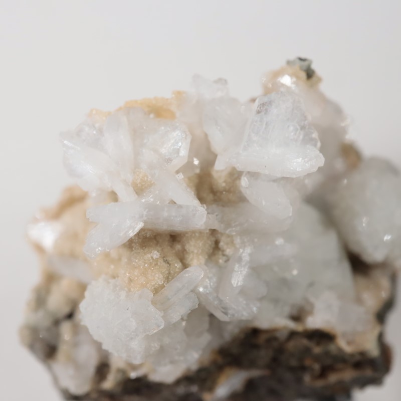 ���쥴�󽣡��ȥॽ��ʨ�С����ƥ���Х���