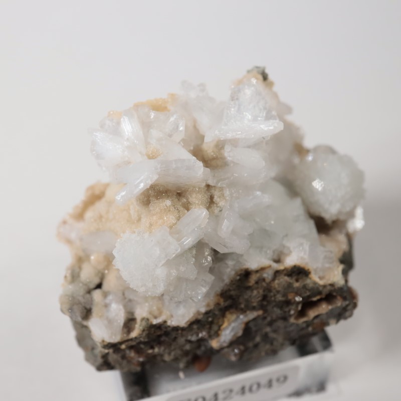 ���쥴�󽣡��ȥॽ��ʨ�С����ƥ���Х���