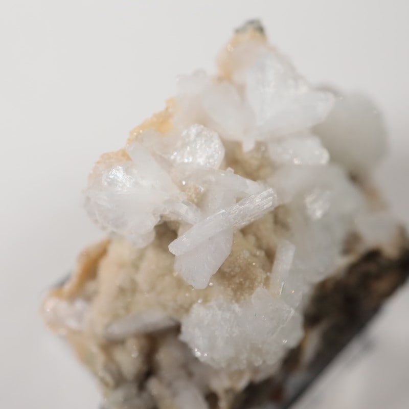 ���쥴�󽣡��ȥॽ��ʨ�С����ƥ���Х���