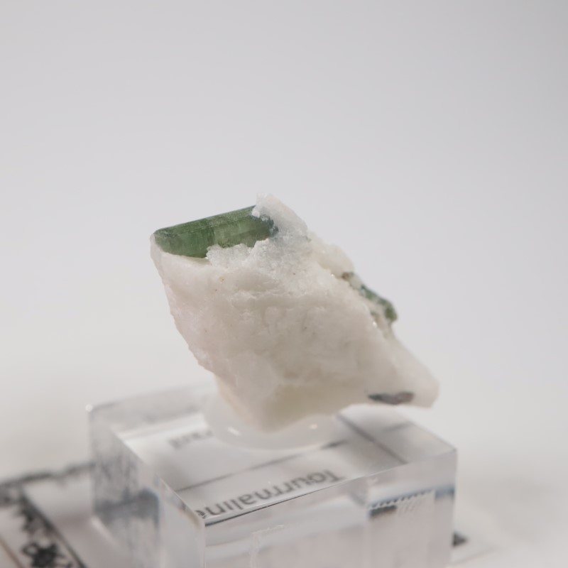 �֥饸�뻺���ȥ�ޥ��