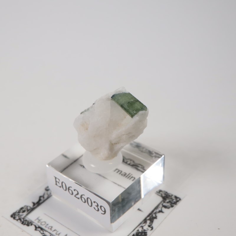 �֥饸�뻺���ȥ�ޥ��