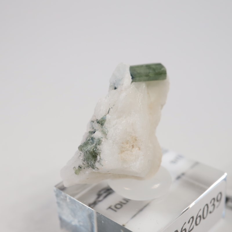 �֥饸�뻺���ȥ�ޥ��