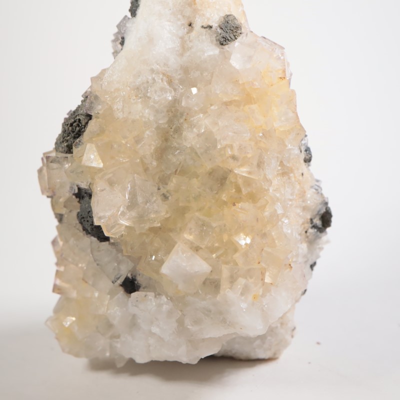 �����ꥹ�� �ե����饤�ȡ������