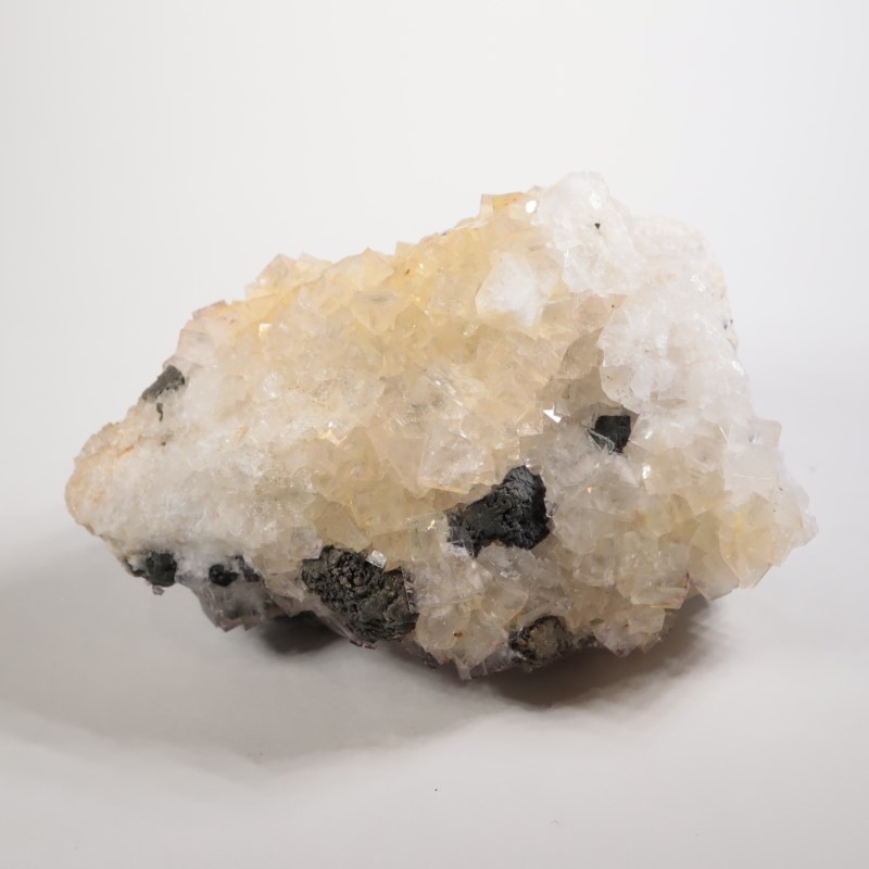 �����ꥹ�� �ե����饤�ȡ������