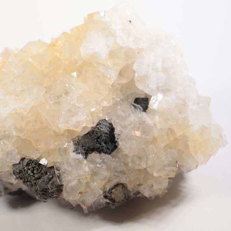 �����ꥹ�� �ե����饤�ȡ������