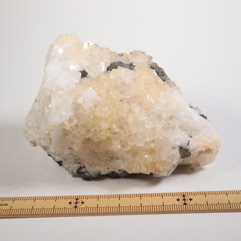 �����ꥹ�� �ե����饤�ȡ������