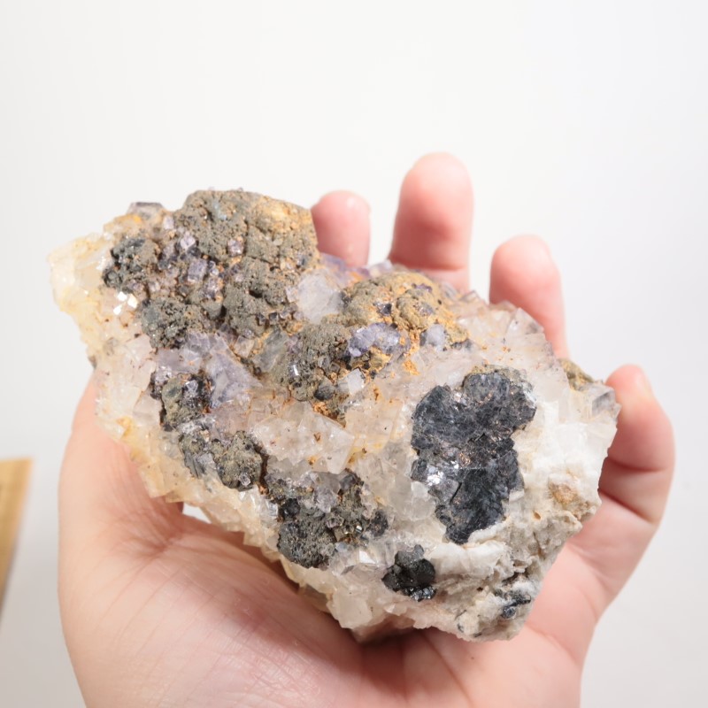 �����ꥹ�� �ե����饤�ȡ������