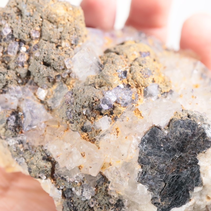 �����ꥹ�� �ե����饤�ȡ������