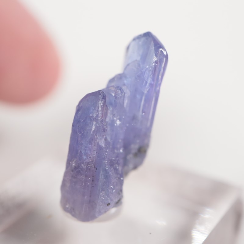 ����˥ҥ륺�� ���󥶥ʥ���