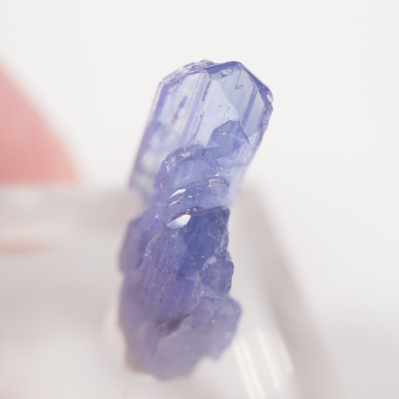 ����˥ҥ륺�� ���󥶥ʥ���