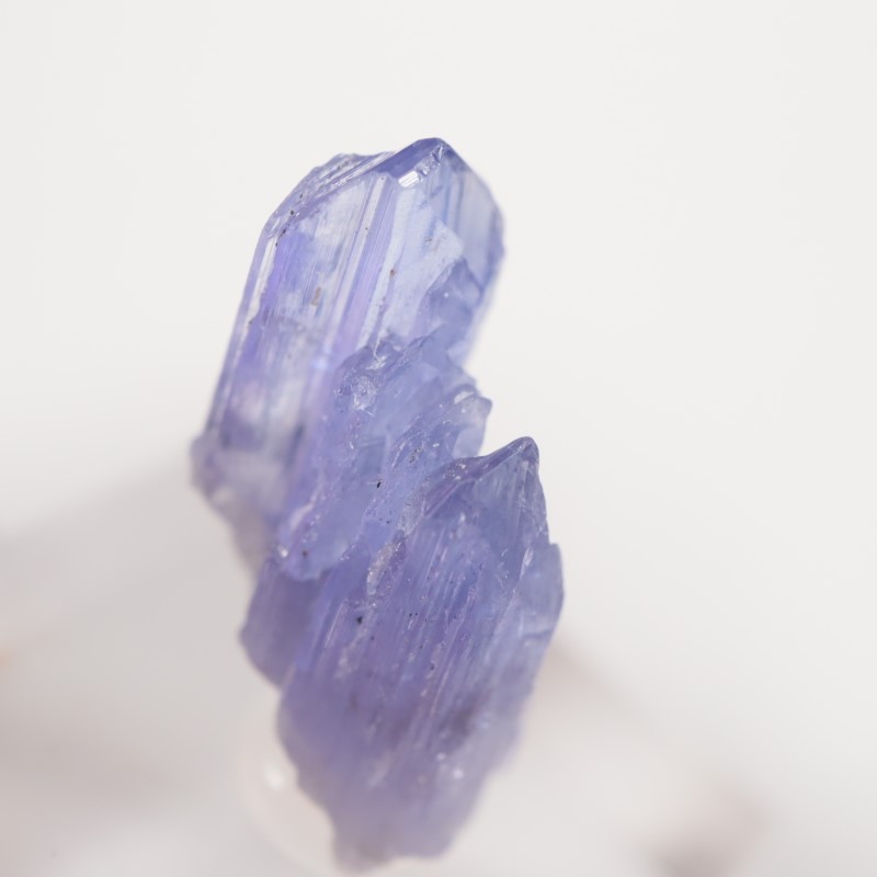 ����˥ҥ륺�� ���󥶥ʥ���