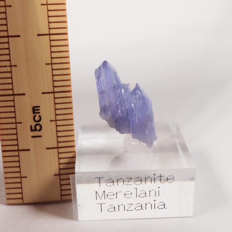 ����˥ҥ륺�� ���󥶥ʥ���