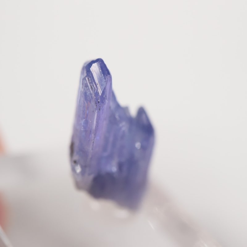 ����˥ҥ륺�� ���󥶥ʥ���