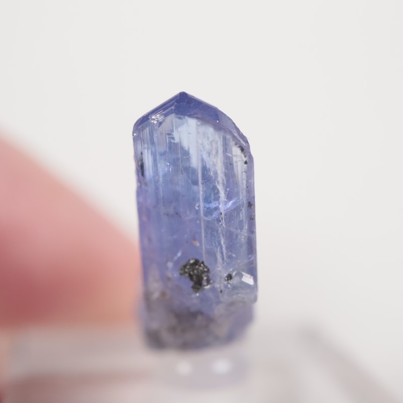 ����˥ҥ륺�� ���󥶥ʥ���