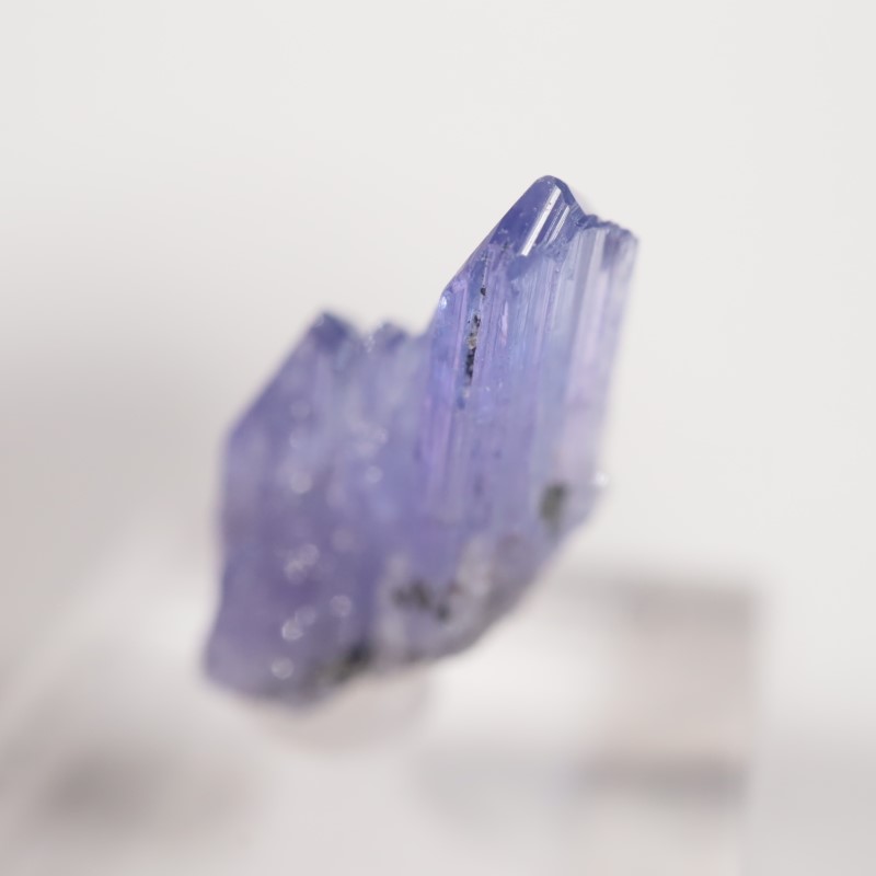 ����˥ҥ륺�� ���󥶥ʥ���