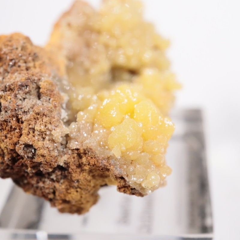 �ᥭ������ �ߥ�å�����