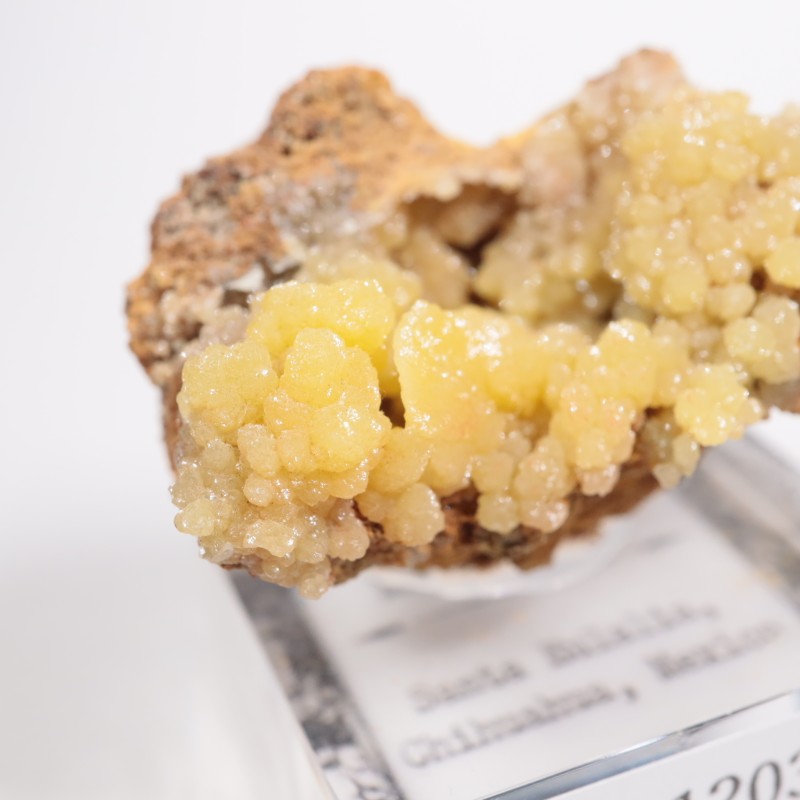 �ᥭ������ �ߥ�å�����