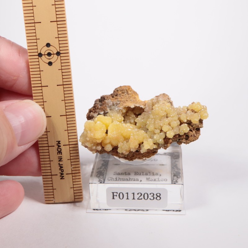 �ᥭ������ �ߥ�å�����