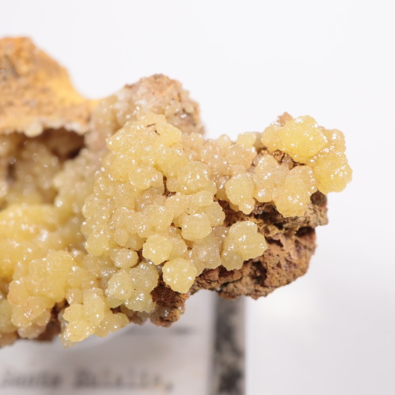 �ᥭ������ �ߥ�å�����