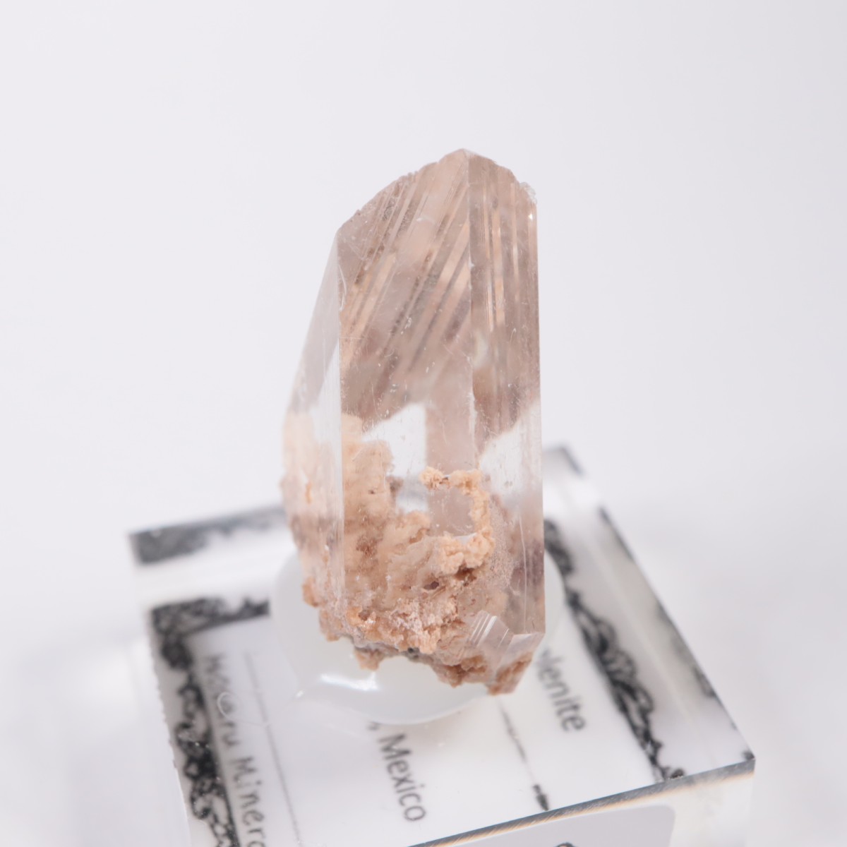 �ᥭ������ ����ʥ���