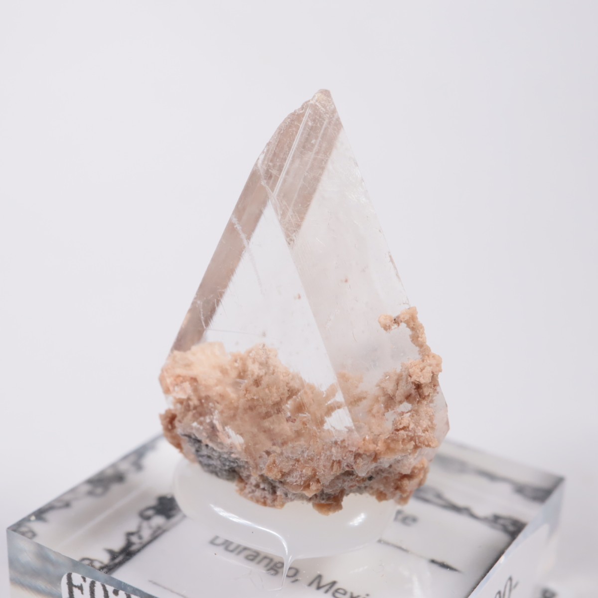 �ᥭ������ ����ʥ���