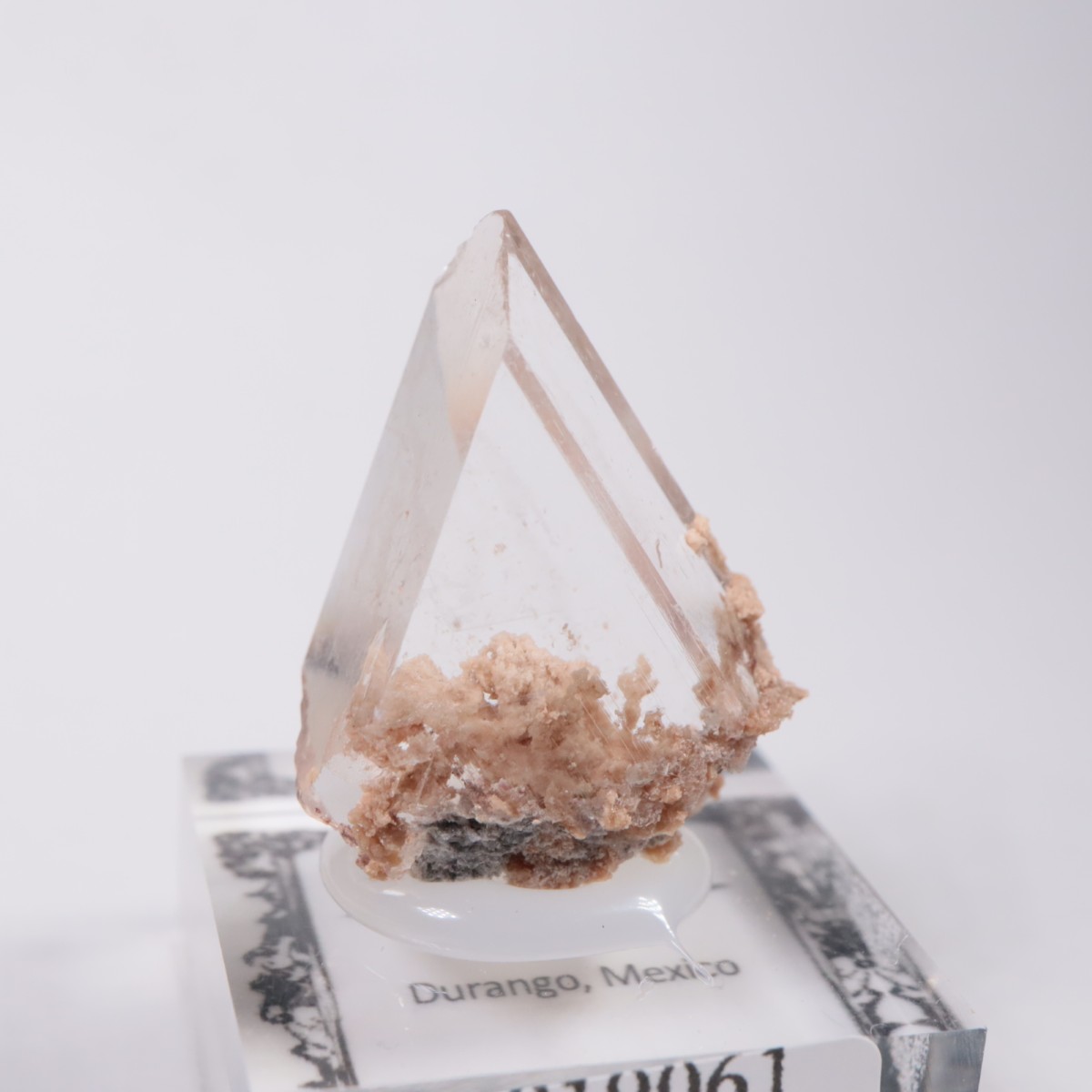 �ᥭ������ ����ʥ���