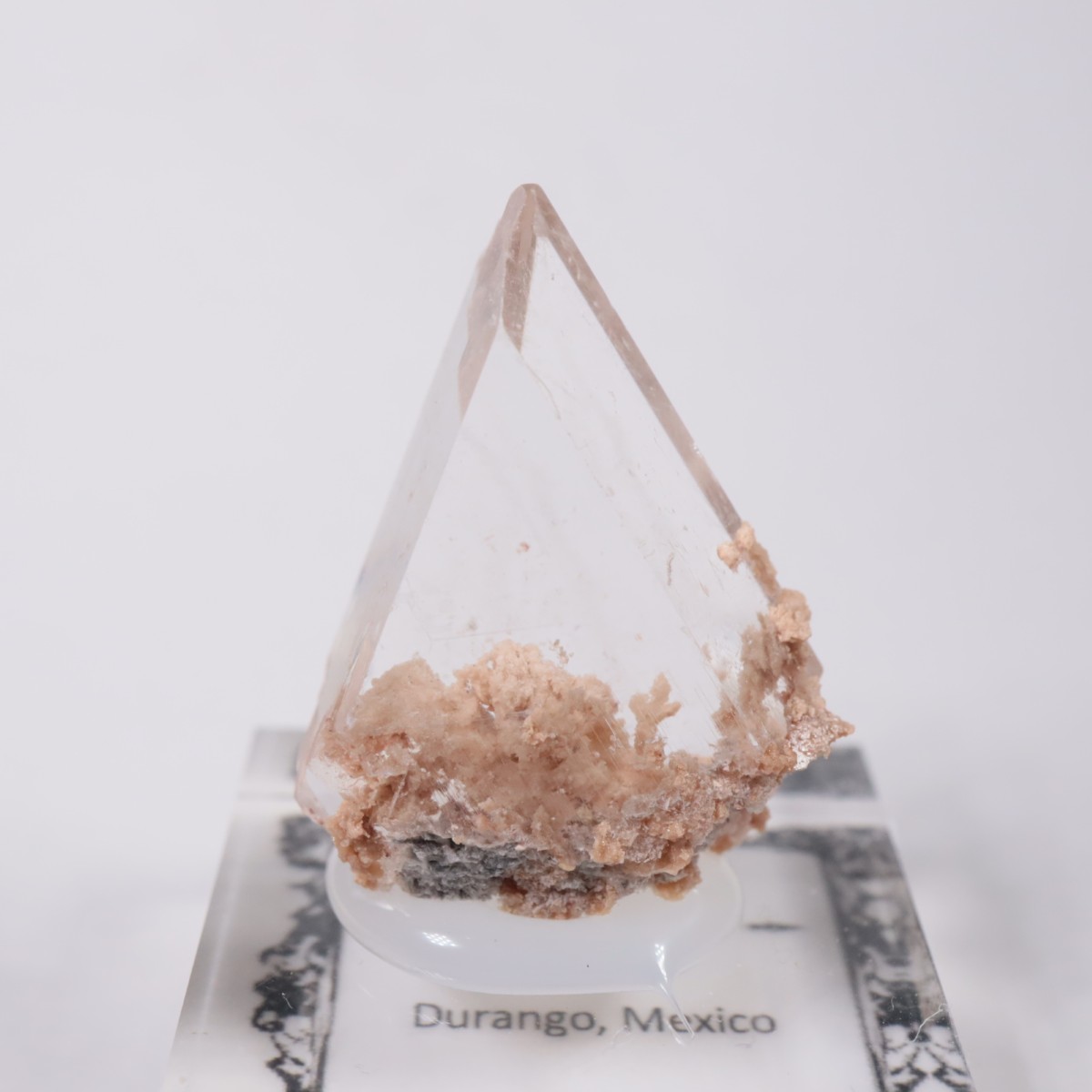 �ᥭ������ ����ʥ���