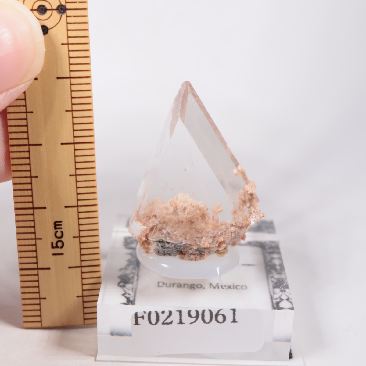 �ᥭ������ ����ʥ���