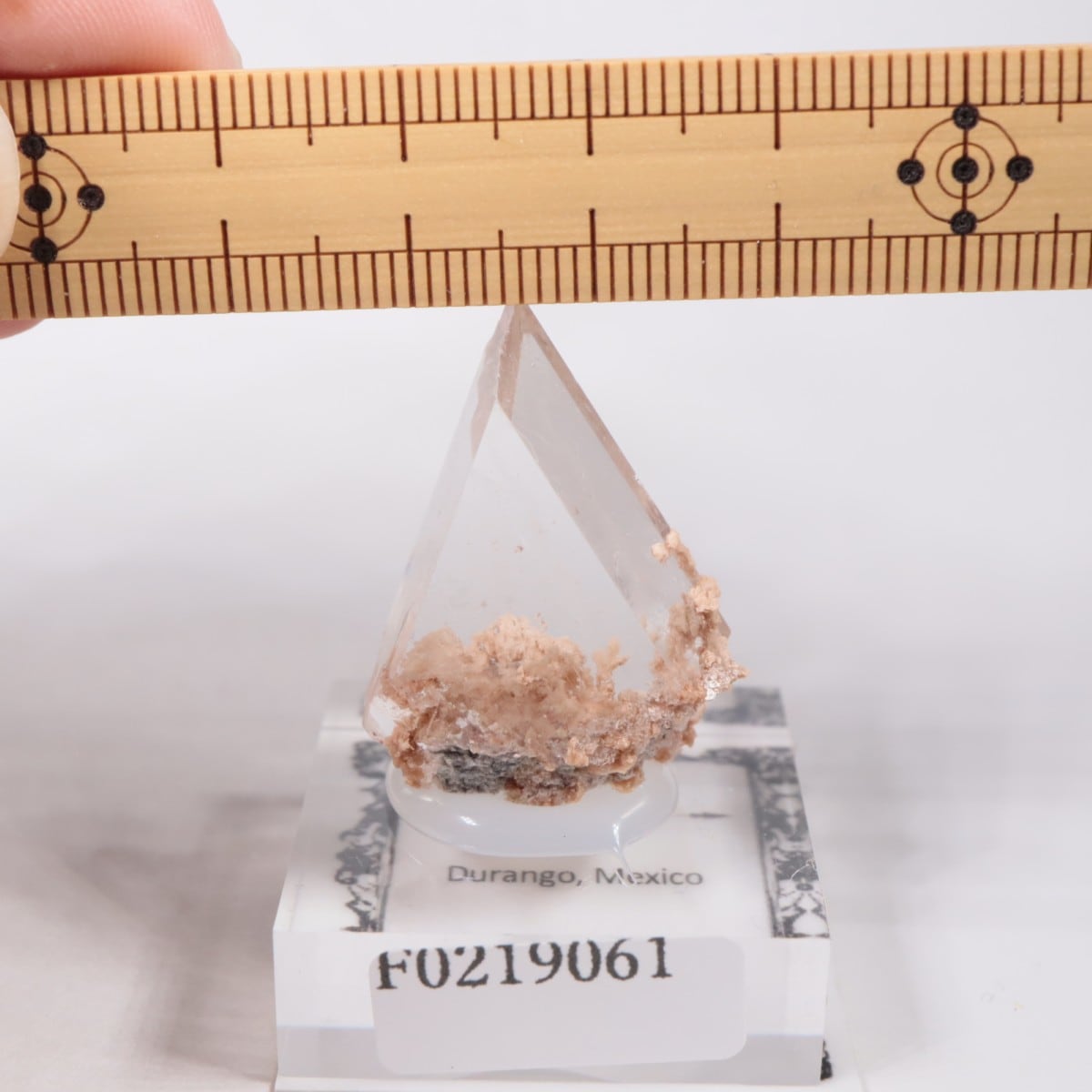 �ᥭ������ ����ʥ���