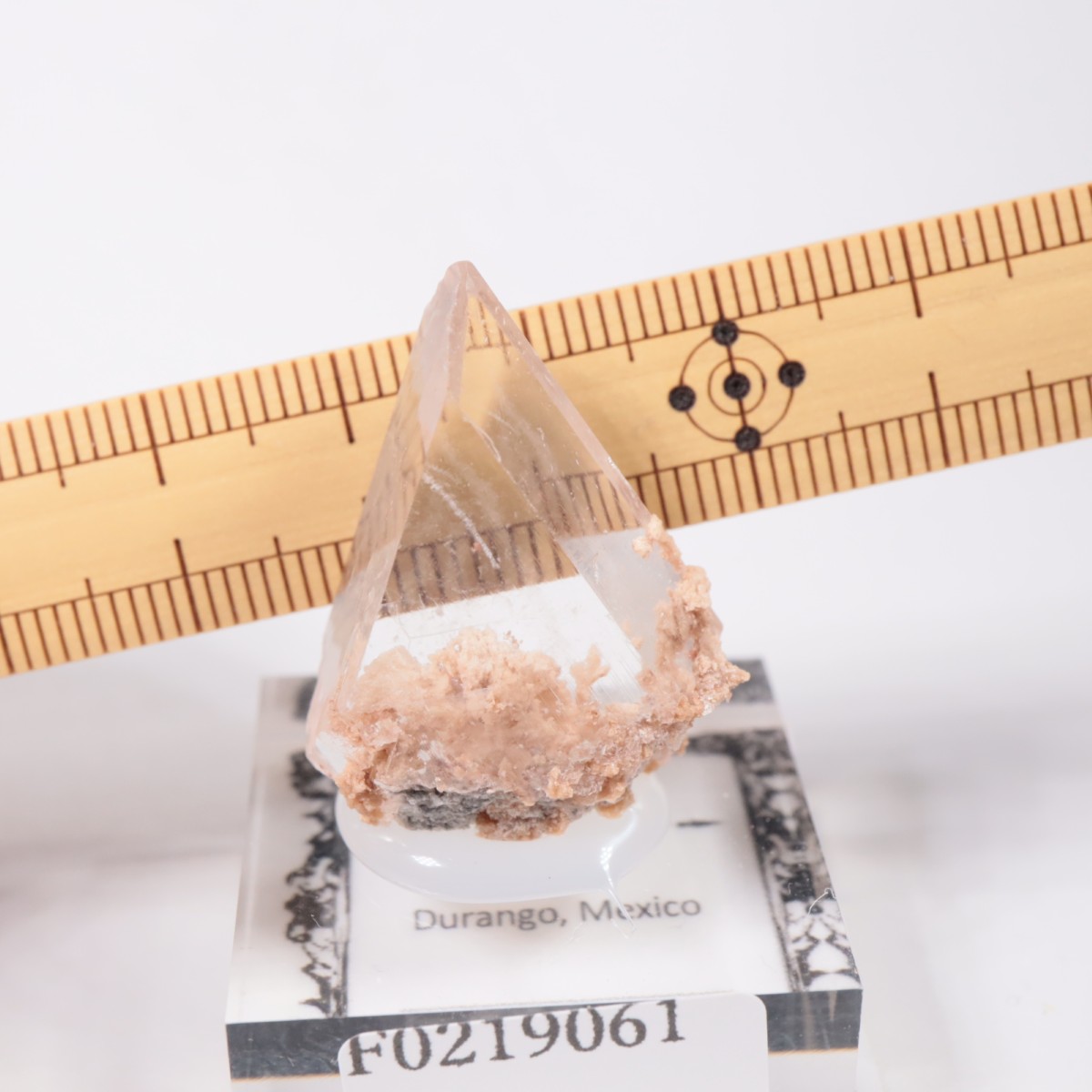 �ᥭ������ ����ʥ���