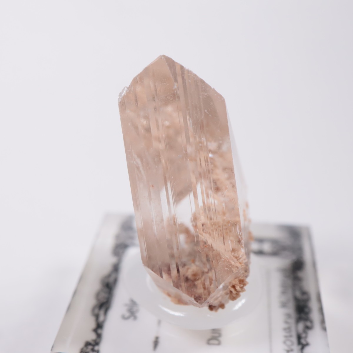 �ᥭ������ ����ʥ���