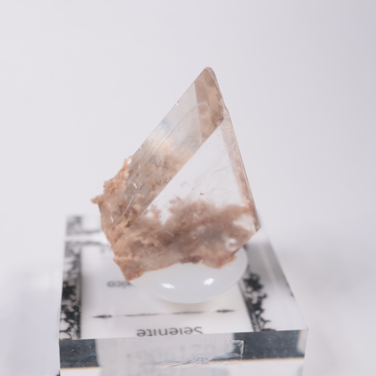 �ᥭ������ ����ʥ���