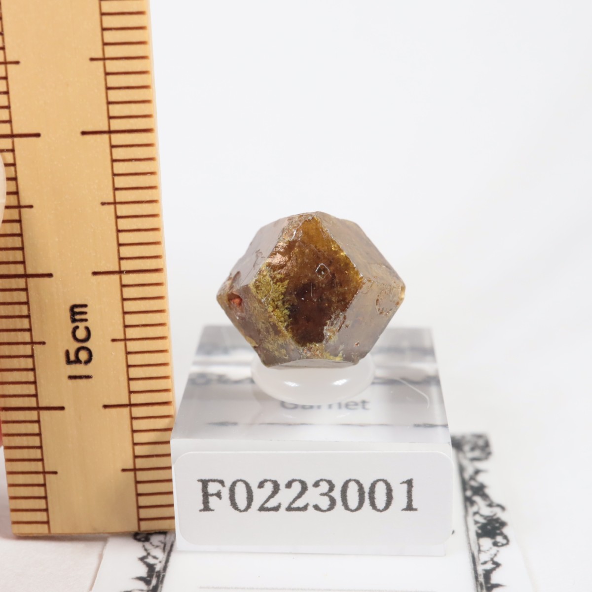 �ޥ껺 �����ͥå�