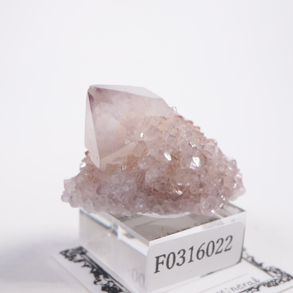 ��եꥫ�� ����������������