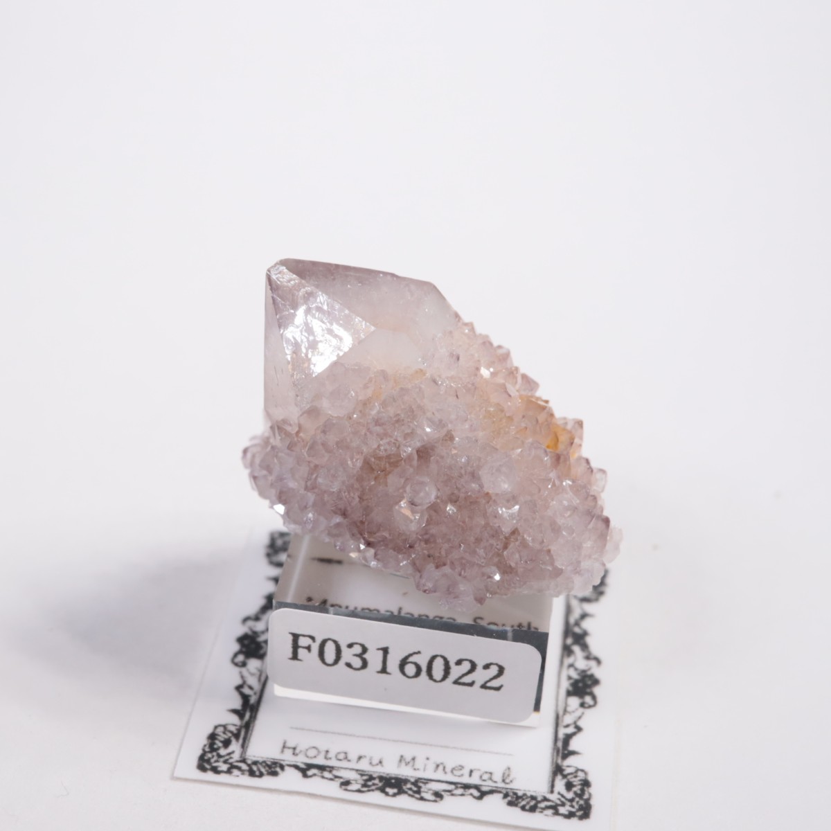 ��եꥫ�� ����������������