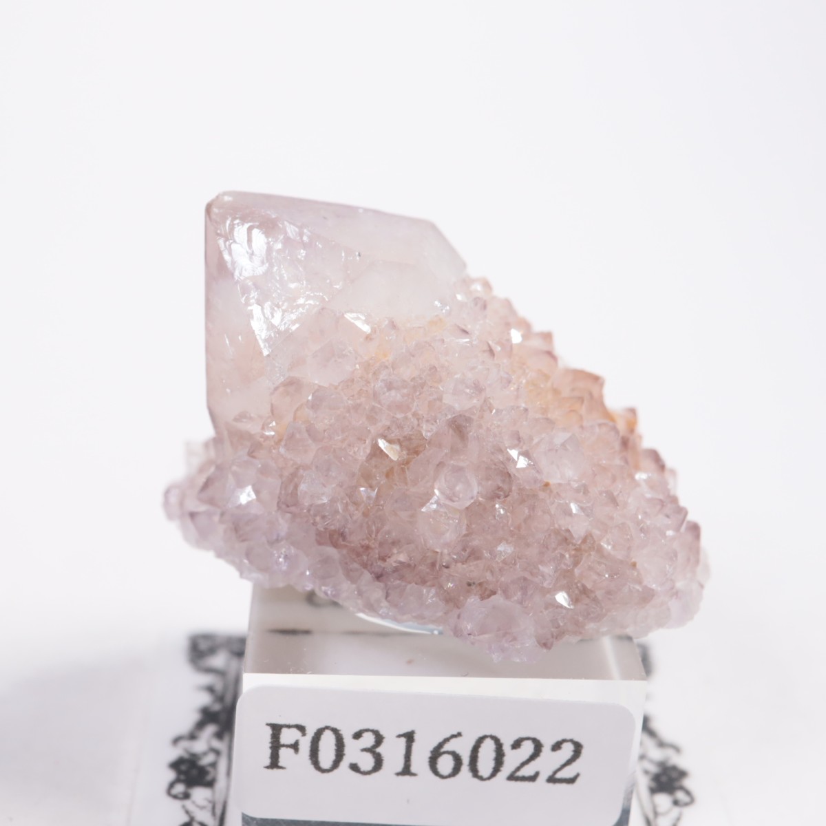 ��եꥫ�� ����������������