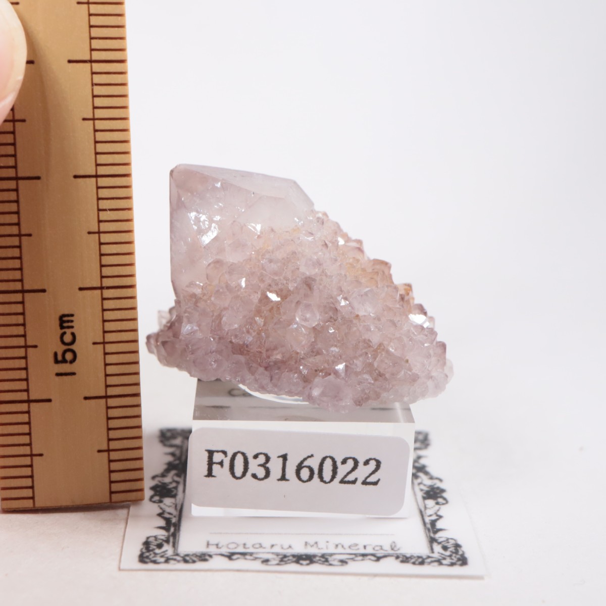 ��եꥫ�� ����������������