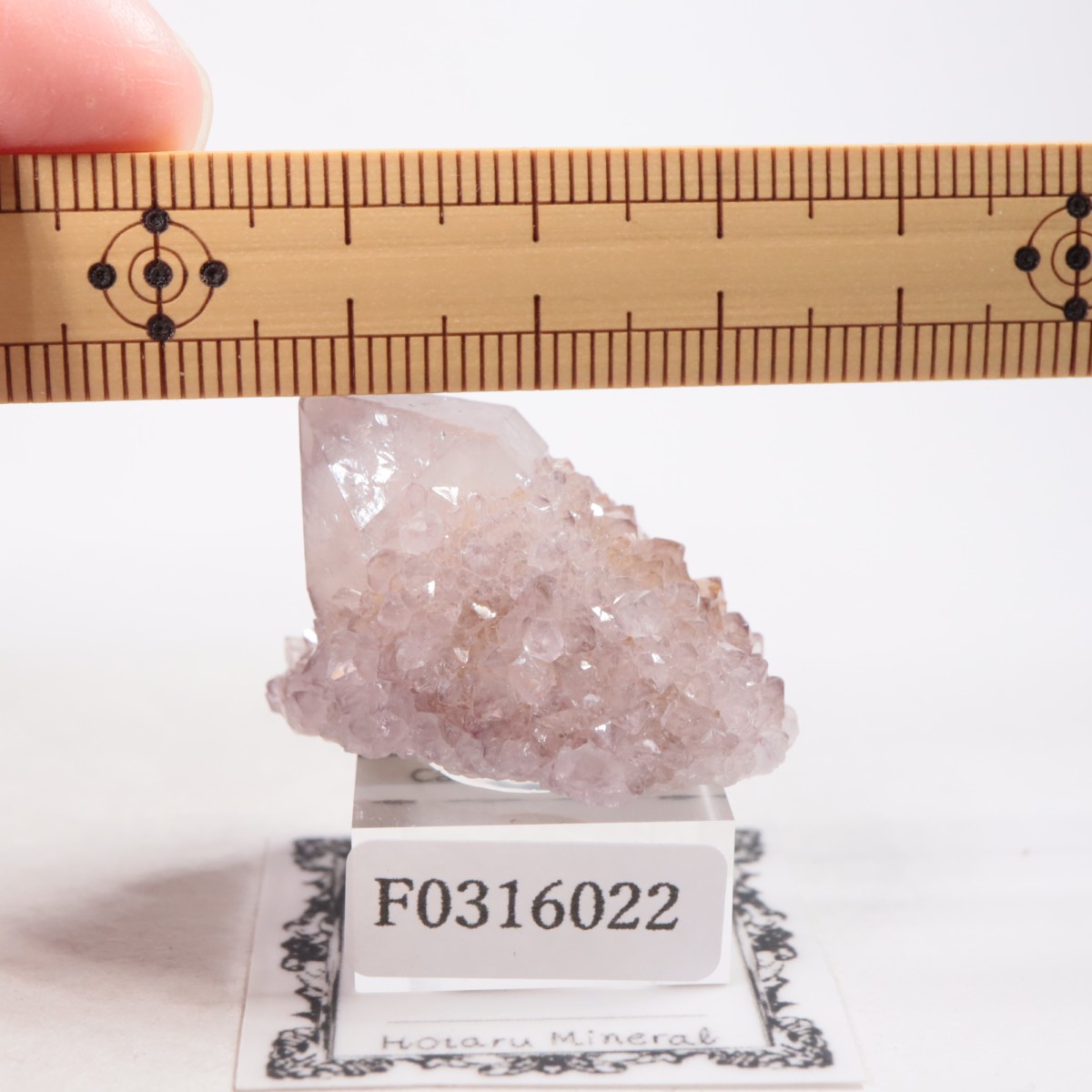 ��եꥫ�� ����������������