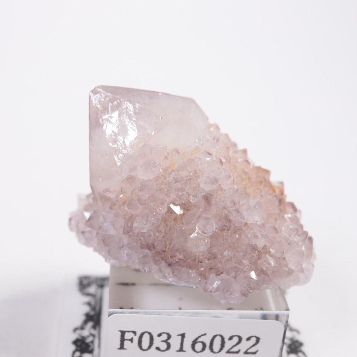 ��եꥫ�� ����������������