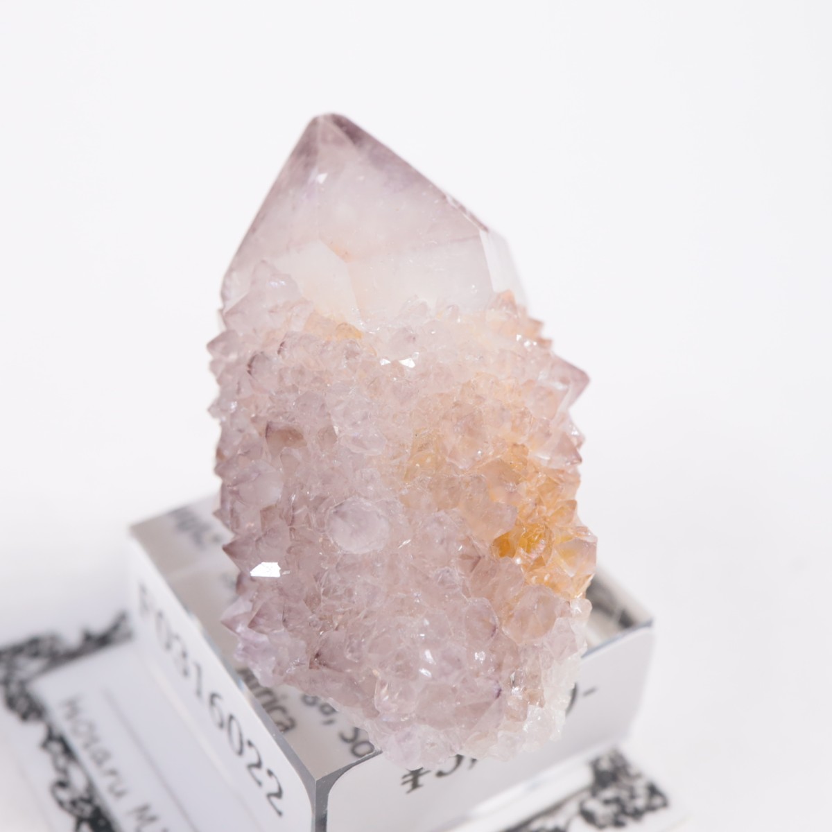 ��եꥫ�� ����������������