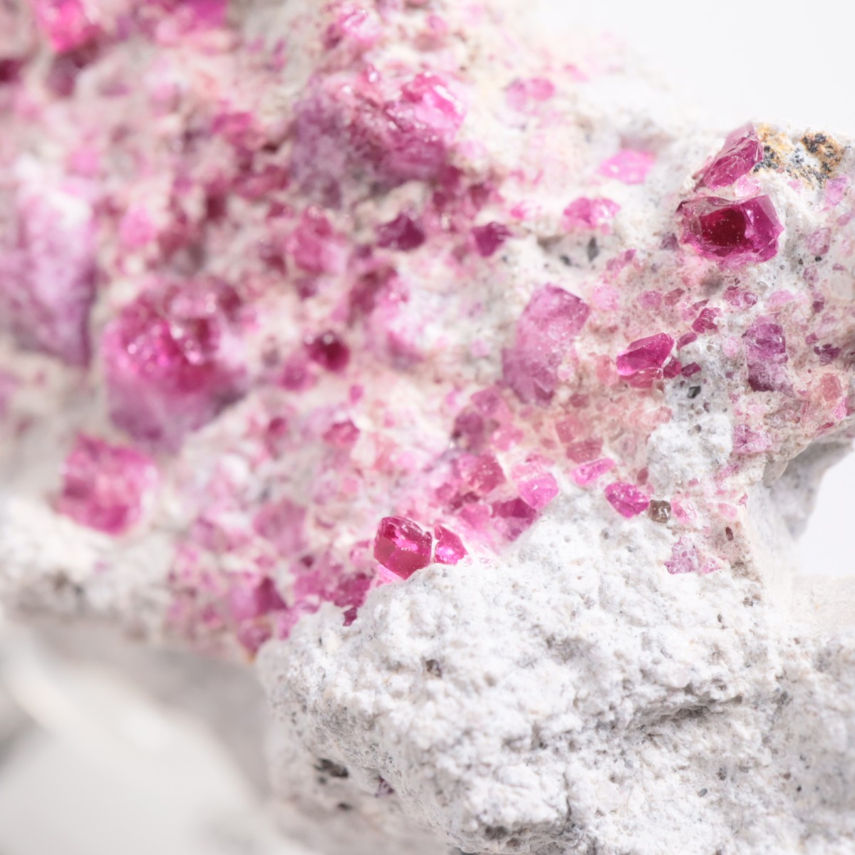 Ruby Violet claims�� ��åɥ٥��