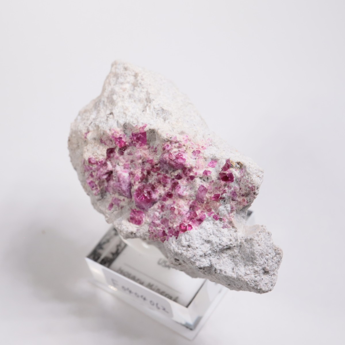 Ruby Violet claims�� ��åɥ٥��