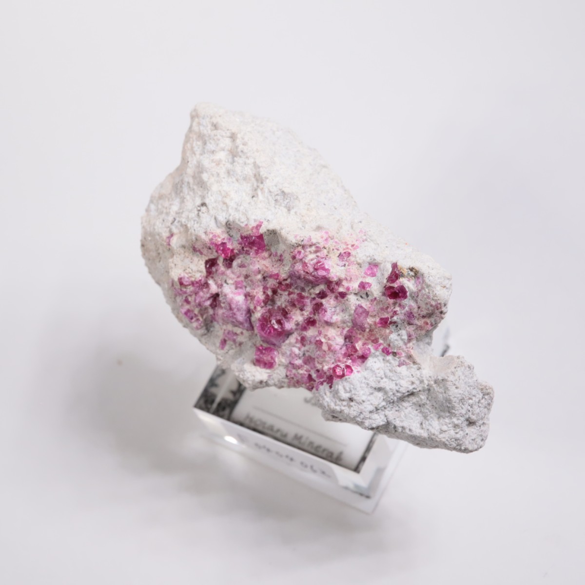 Ruby Violet claims�� ��åɥ٥��