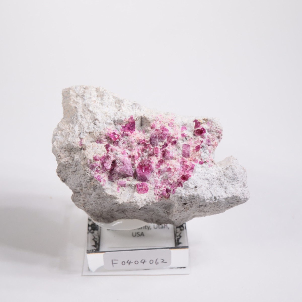 Ruby Violet claims�� ��åɥ٥��