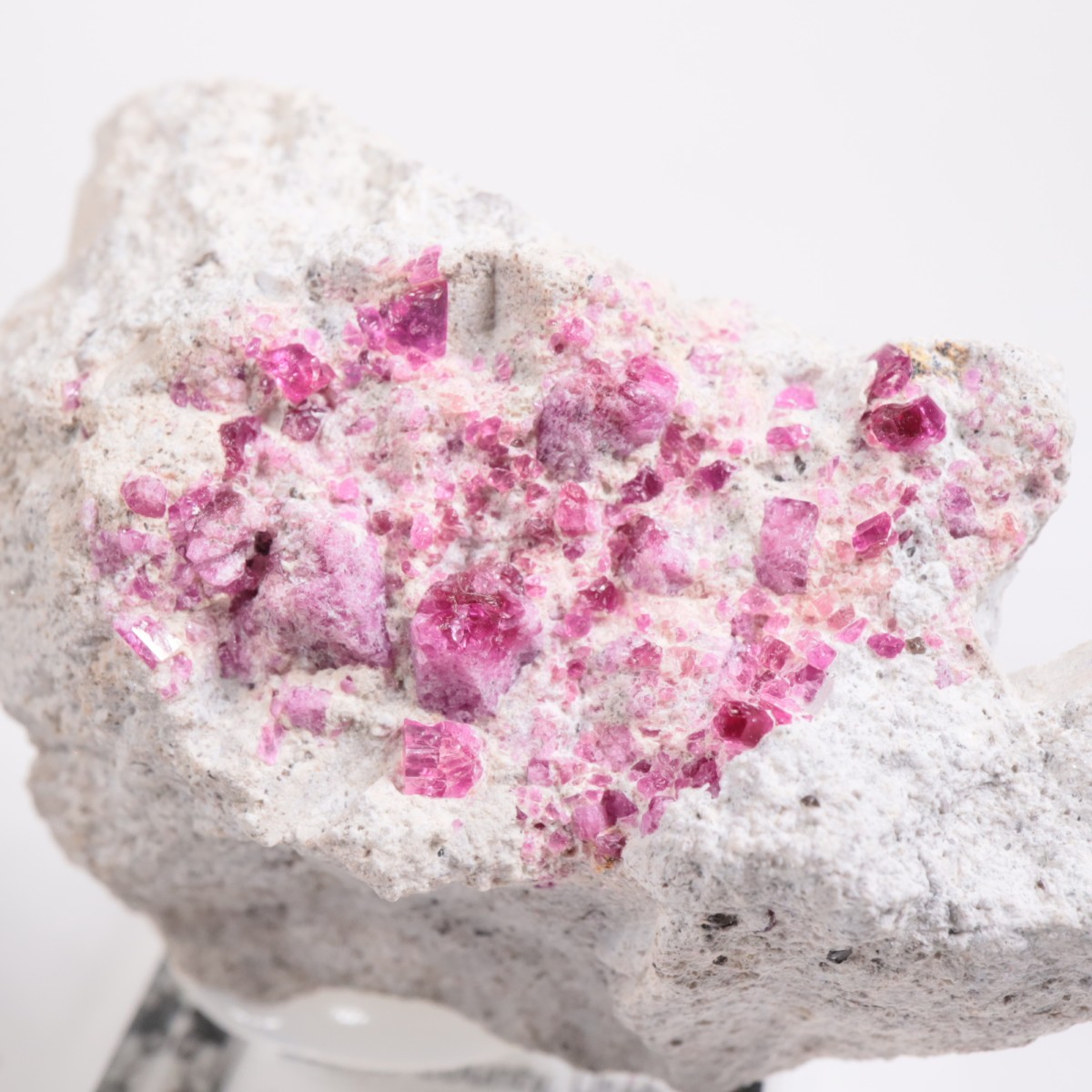 Ruby Violet claims�� ��åɥ٥��