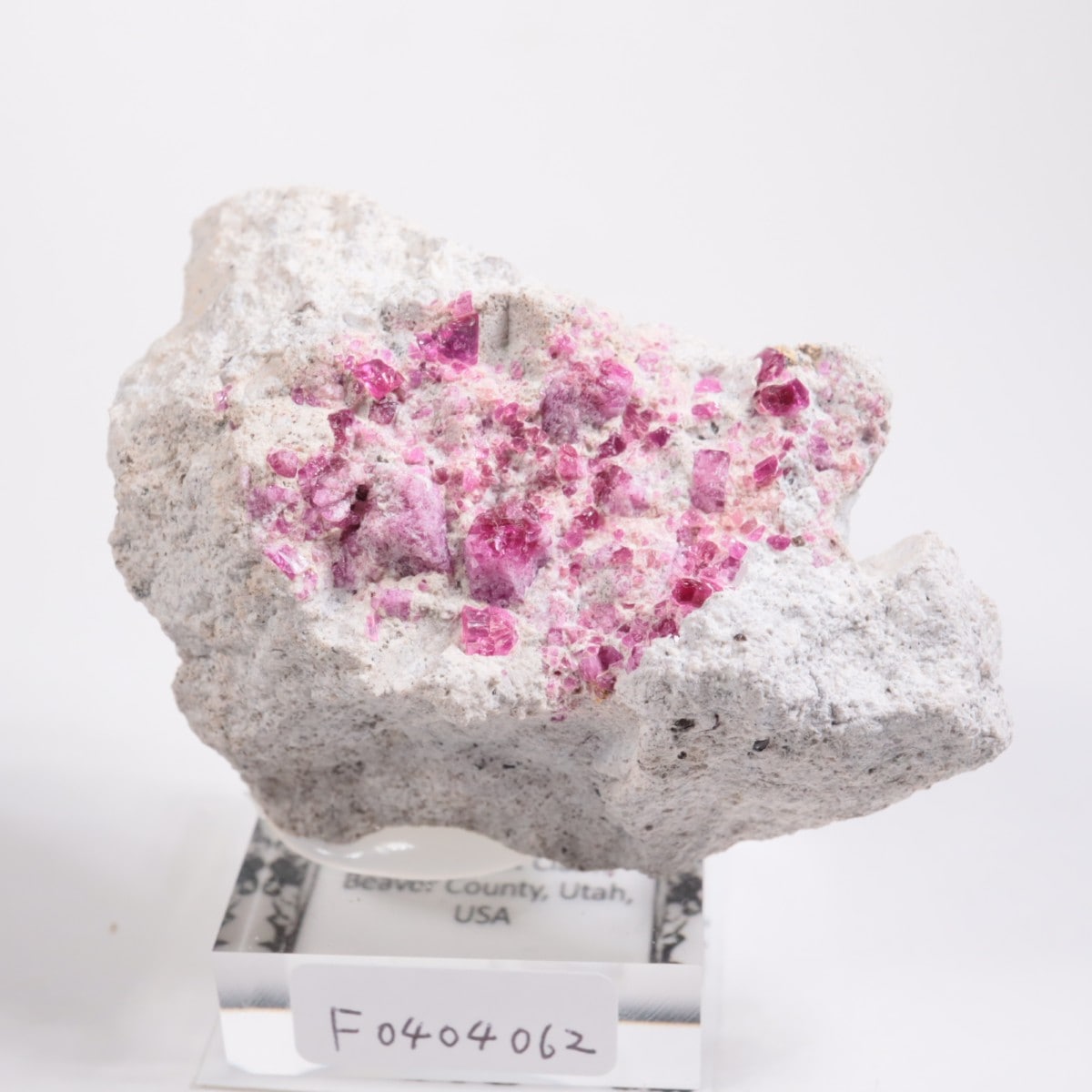 Ruby Violet claims�� ��åɥ٥��