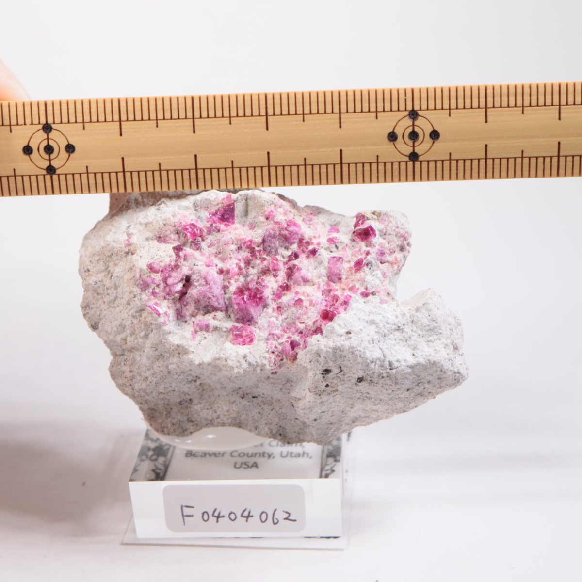 Ruby Violet claims�� ��åɥ٥��