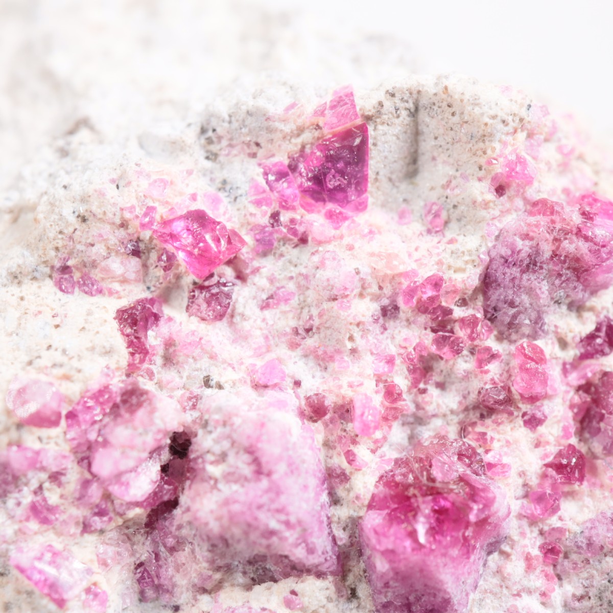 Ruby Violet claims�� ��åɥ٥��